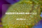 阿里国际数字商业集团Q2营收316.72亿元 同比增长29%