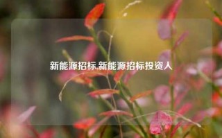 新能源招标,新能源招标投资人