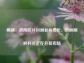 英媒：越南芯片封测业务增长，供给侧碎片化正在分裂市场