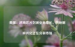 英媒：越南芯片封测业务增长，供给侧碎片化正在分裂市场