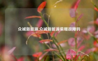 众诚新能源,众诚新能源柴暖故障码