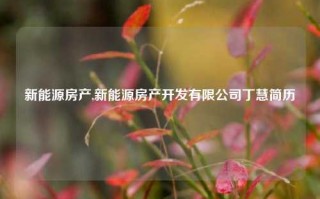 新能源房产,新能源房产开发有限公司丁慧简历