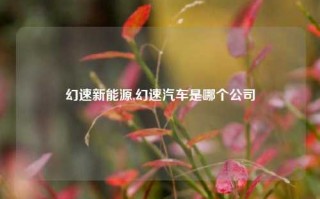 幻速新能源,幻速汽车是哪个公司