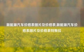 新能源汽车价格表图片及价格表,新能源汽车价格表图片及价格表特斯拉