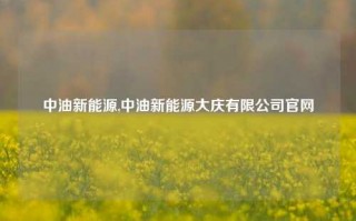 中油新能源,中油新能源大庆有限公司官网