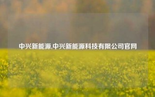 中兴新能源,中兴新能源科技有限公司官网