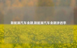 新能源汽车金融,新能源汽车金融渗透率