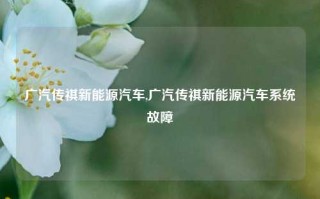 广汽传祺新能源汽车,广汽传祺新能源汽车系统故障