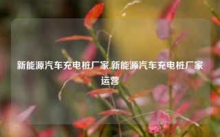 新能源汽车充电桩厂家,新能源汽车充电桩厂家运营