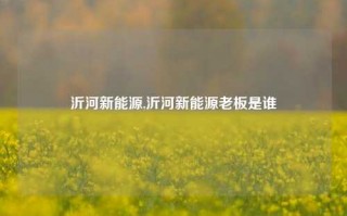 沂河新能源,沂河新能源老板是谁