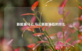 新能源马云,马云新能源指的什么