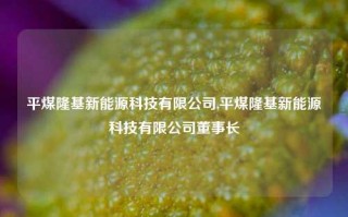 平煤隆基新能源科技有限公司,平煤隆基新能源科技有限公司董事长