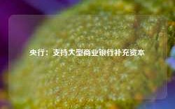 央行：支持大型商业银行补充资本