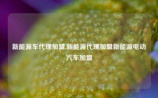 新能源车代理加盟,新能源代理加盟新能源电动汽车加盟