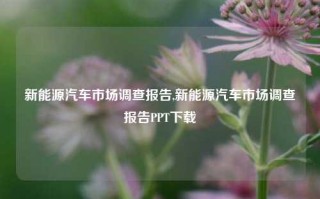 新能源汽车市场调查报告,新能源汽车市场调查报告PPT下载