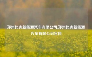 郑州比克新能源汽车有限公司,郑州比克新能源汽车有限公司官网