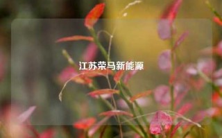 江苏荣马新能源