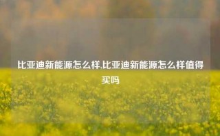 比亚迪新能源怎么样,比亚迪新能源怎么样值得买吗