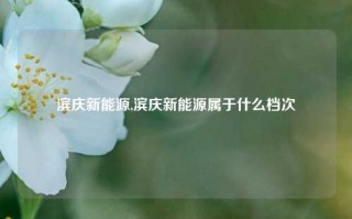 滨庆新能源,滨庆新能源属于什么档次