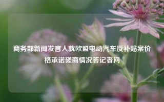 商务部新闻发言人就欧盟电动汽车反补贴案价格承诺磋商情况答记者问