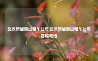 武汉新能源出租车公司,武汉新能源出租车公司客服电话