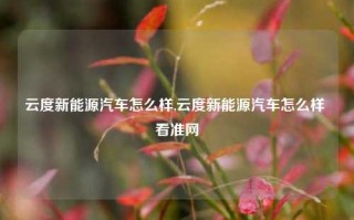 云度新能源汽车怎么样,云度新能源汽车怎么样 看准网