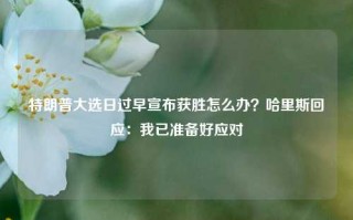 特朗普大选日过早宣布获胜怎么办？哈里斯回应：我已准备好应对