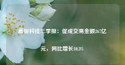 嘉银科技三季报：促成交易金额267亿元，同比增长10.3%