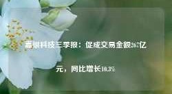 嘉银科技三季报：促成交易金额267亿元，同比增长10.3%