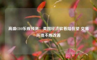 高盛CEO乐观预测：美国经济软着陆在望 交易环境不断改善