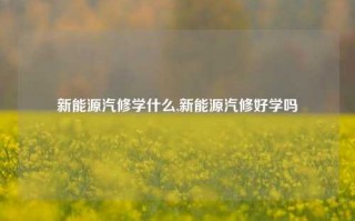 新能源汽修学什么,新能源汽修好学吗