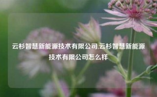 云杉智慧新能源技术有限公司,云杉智慧新能源技术有限公司怎么样