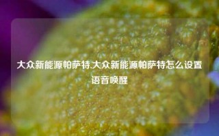 大众新能源帕萨特,大众新能源帕萨特怎么设置语音唤醒