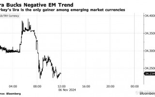 特朗普胜选引爆汇市 土耳其里拉成避风港
