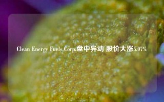 Clean Energy Fuels Corp.盘中异动 股价大涨5.07%