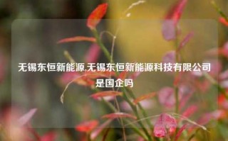 无锡东恒新能源,无锡东恒新能源科技有限公司是国企吗