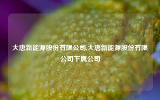 大唐新能源股份有限公司,大唐新能源股份有限公司下属公司