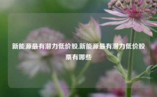 新能源最有潜力低价股,新能源最有潜力低价股票有哪些