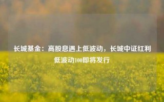 长城基金：高股息遇上低波动，长城中证红利低波动100即将发行