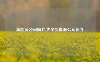 新能源公司简介,大全新能源公司简介