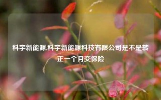 科宇新能源,科宇新能源科技有限公司是不是转正一个月交保险