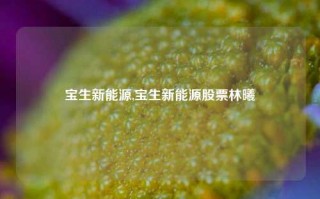 宝生新能源,宝生新能源股票林曦