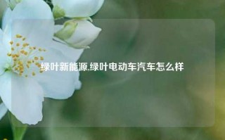 绿叶新能源,绿叶电动车汽车怎么样