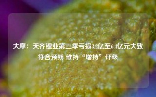 大摩：天齐锂业第三季亏损3.2亿至6.4亿元大致符合预期 维持“增持”评级