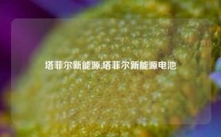 塔菲尔新能源,塔菲尔新能源电池