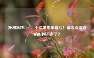 净利暴跌214%，十年来单季首亏！留给酒鬼酒的时间不多了？