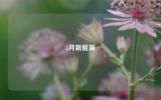 5月新能源