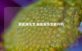 新能源东北,新能源东北能开吗