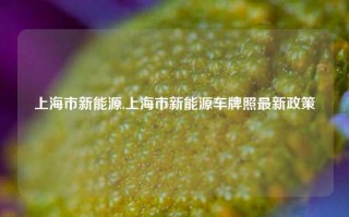 上海市新能源,上海市新能源车牌照最新政策