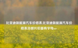 比亚迪新能源汽车价格表,比亚迪新能源汽车价格表及图片后面有字母suv